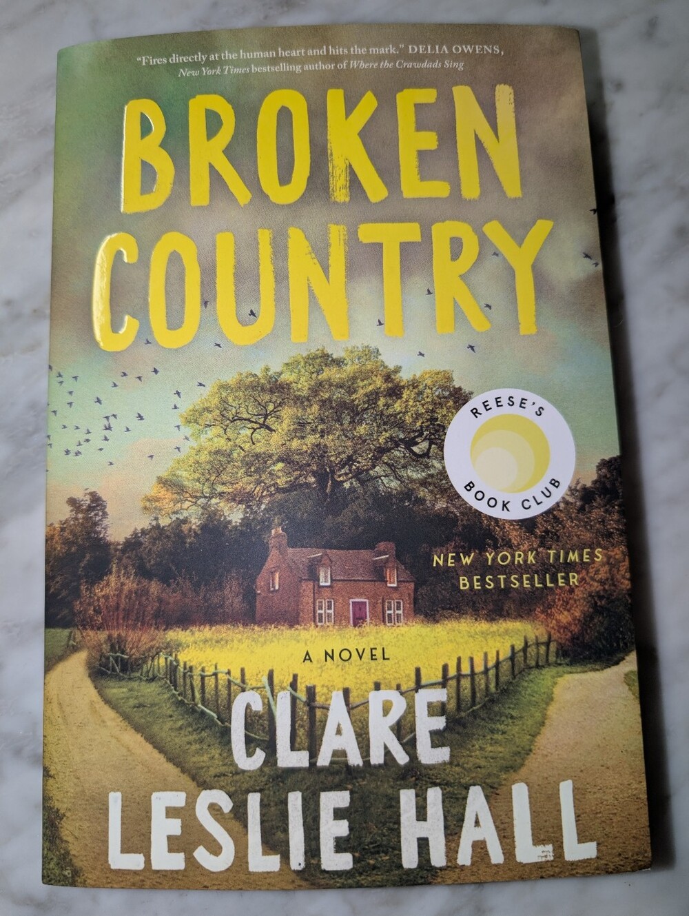 📚 "Broken Country" Paperback Novel By Clare Leslie Hall - Bestselling Book